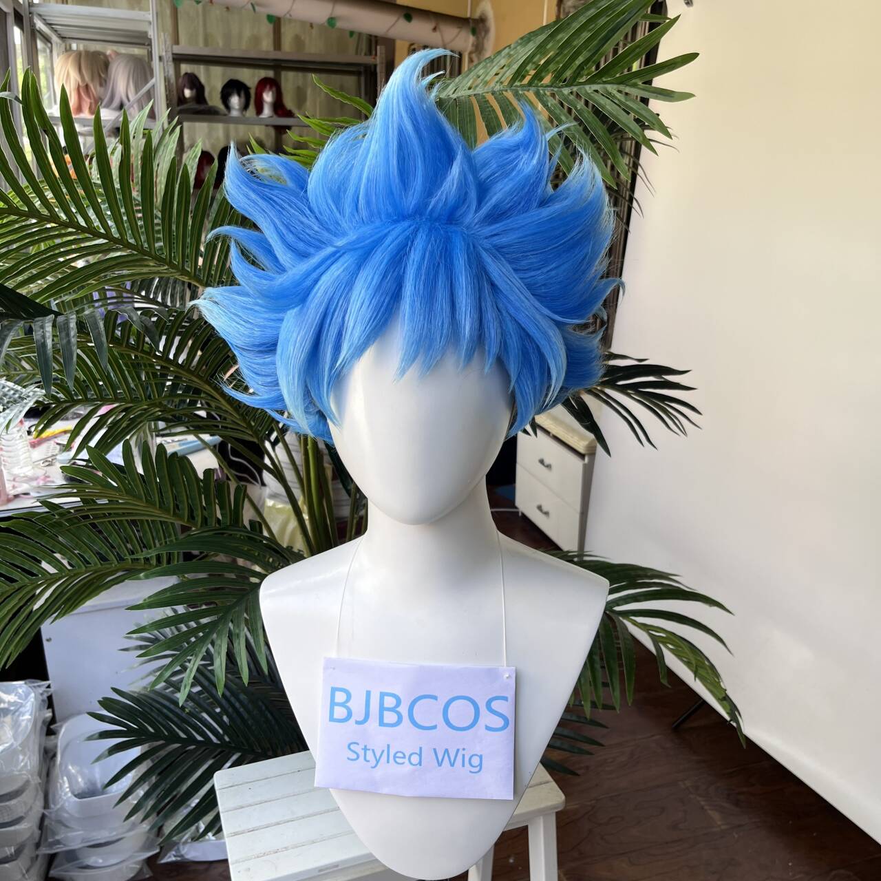 [Styled Wig]Ortho Cosplay Wig  - огляд і ціна Men Accessories Style